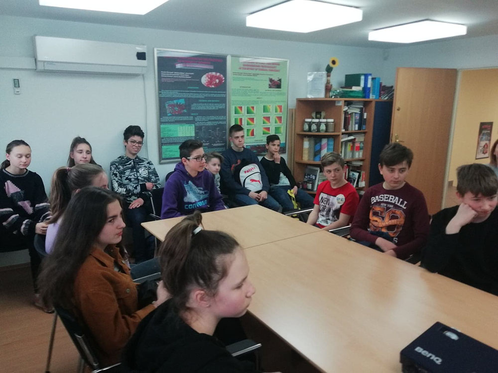 56331012 262328844711948 8856083742419058688 n